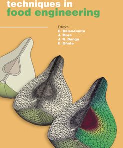 Computational Techniques in Food Engineering